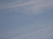 Horizon_Airmeet_2013_Set_2 135